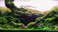 THE GREAT HOLE